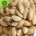 Wholesale 2019 crop Chinese Squash Seeds/ pumpkin seeds Market Price
