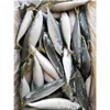 6-8pcs per kilo size IQF Frozen Pacific Mackerel