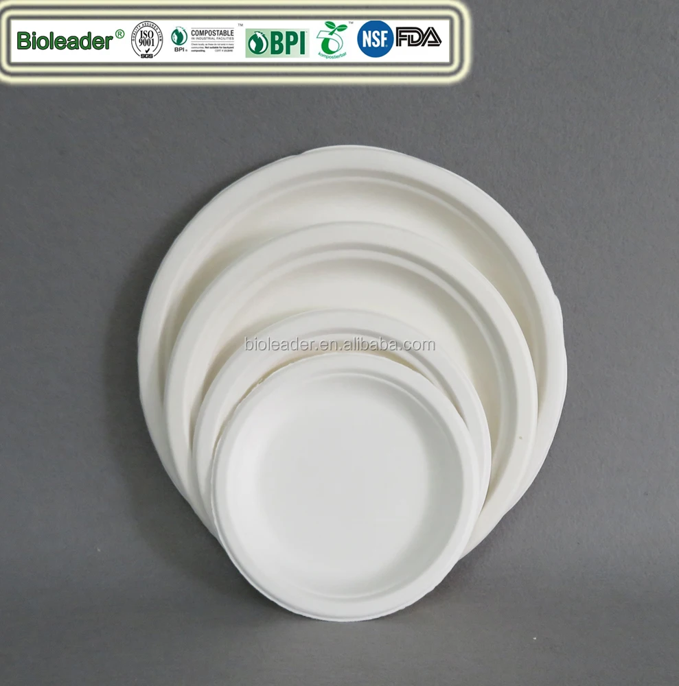 100% Biodegradable Disposable Sugarcane Pulp Party BBQ Plate