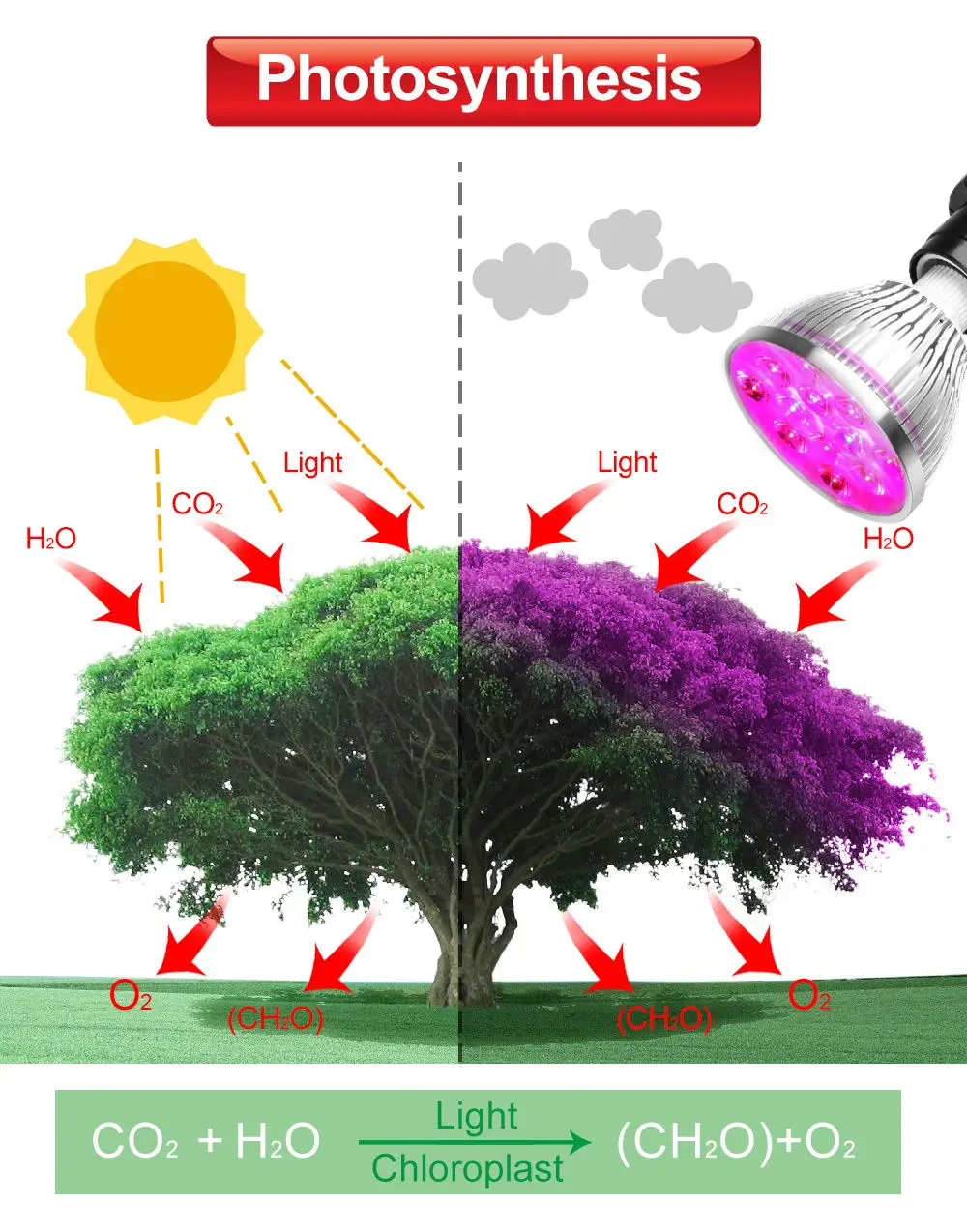 E27 plant grow led  Indoor or Desktop Plants LED Grow Light Flexible Lamp LED Plant Growth Light 21W 54W AC85-265V Free shipping (1)