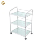 Beauty Salon Equipment Trolley Cart Salon Trolley