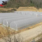 The economical popular cheapest agriculture poly tunnel greenhouse for sale