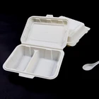 PLA disposable dinnerware sets Biodegradable Tableware
