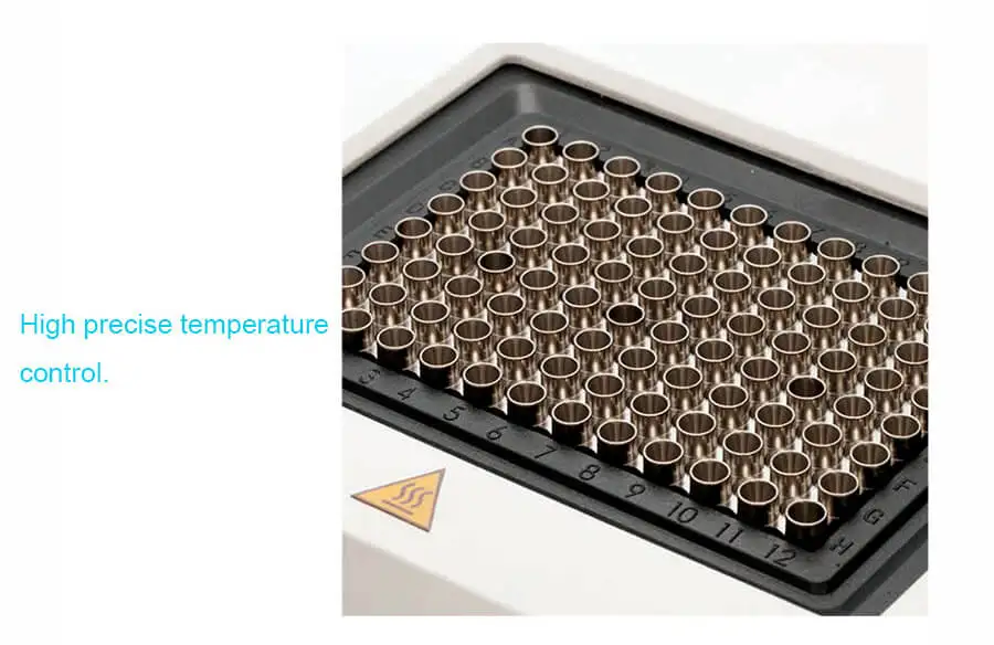 PCR thermal cycle (6)