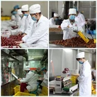 Dates Red Date Fruit High Quality Chinese Dried Red Dates For Sale Dried Red Jujube Fruit