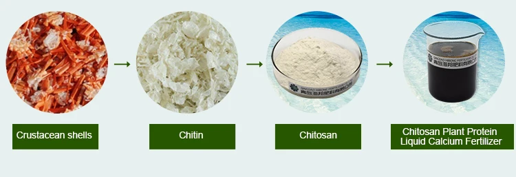 Chitosan Plant Protein Liquid Calcium Organic Fertilizer