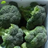 /product-detail/competitive-price-frozen-broccoli-cut-manufacture-60702314915.html