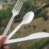 100% biodegradable Fork Knife / Spoon / Flatware Set For Western Dinner PLA Cutlery