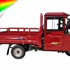 Cargo Gasoline Tricycle with Cabin for Sales 125cc 150cc 200cc 250cc