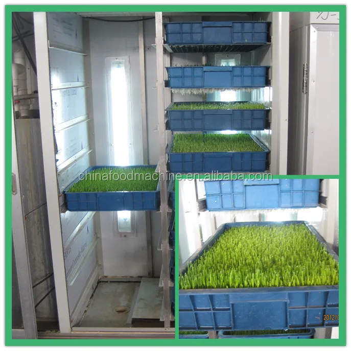Automatic Germination/Barley Wheat Seeds Germinating Machine/Fodder Sprouting Machine Pasen Machine for Seeds Germ details