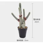 Table Decoration Artificial Cactus Mini Table Decor Plastic Plant Bonsai