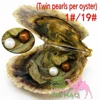 Birthday surprise gift DIY vacuum packaging AAAA6-7mm salt water round Akoya twins pearl oyster wholesale and retail