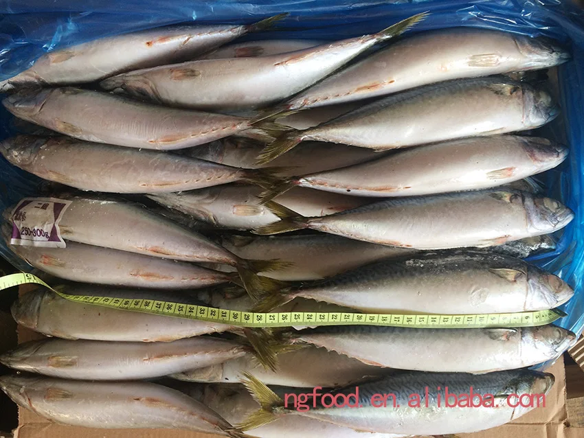 250g-300g (7)-1