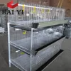 /product-detail/high-quality-growing-broiler-chicks-rate-cage-for-nigeria-poultry-farm-from-alibaba-golden-supplier-60234195423.html
