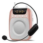 Factory wholesale famous brand Shidu FM radio recording wireless broadcasting mini amplifier