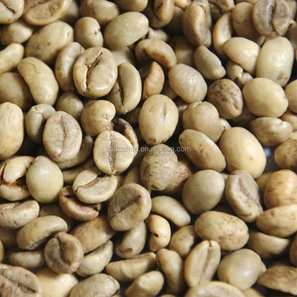50/60kg Robusta green coffee beans for Vietnam Robusta