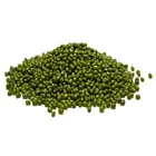 Green Mung Bean Moong Dal Sprout Mung Beans Used For Sale