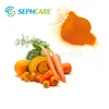/product-detail/food-ingredient-natural-color-pigment-plant-extracts-beta-carotene-62064235909.html