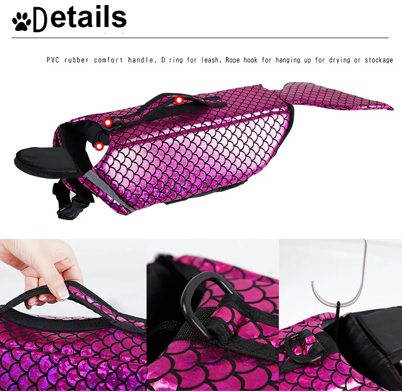 5972650276_1832331281