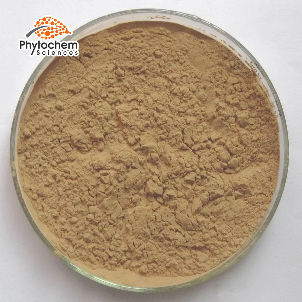 Coriolus Versicolor extract