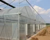 Large-scale Agriculture Greenhouse Covered With PO/PE Film For Soil-less Culture