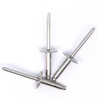 China blind rivet stainless steel big head blind rivet