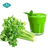 /product-detail/natural-vegetable-juice-powder-celery-juice-powder-60776062367.html