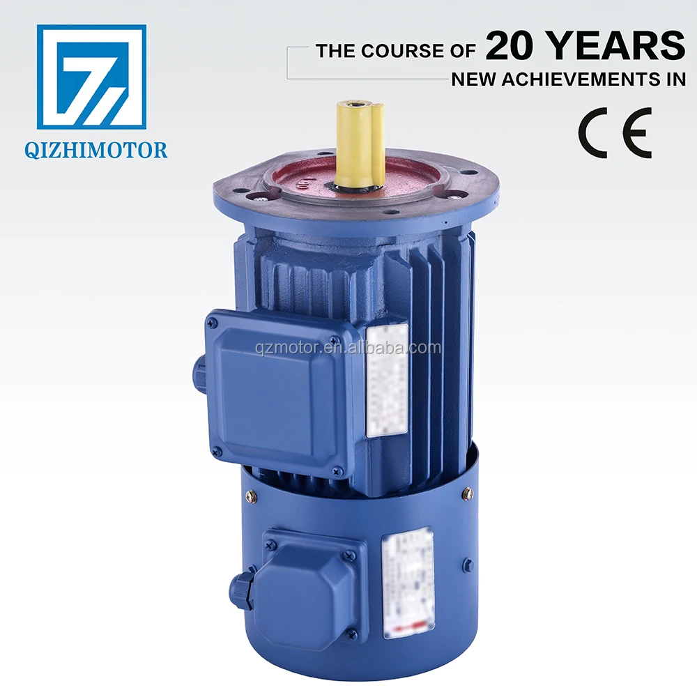 0.75kw Three Phase Variable Frequency Speed Regulation Electric Motor Asynchronous Electric