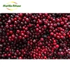 /product-detail/new-season-good-quality-healthy-frozen-fruit-distributors-lingonberry-iqf-100-natural-62035464611.html