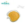 Milk Thistle Extract 80% Silymarin silybin with ISO Certification