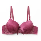 Brief Cup Underwire Lace Bra Plus Size Lingerie