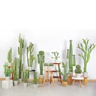 Mini Cactus Centerpiece 14cm Wholesale Mini Cactus Design Semillas De Cactus For Decor