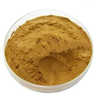 Fermented Natural Papaya Leaf Extract 10:1