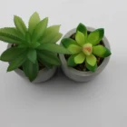 Artificial Faux Plants Decor Small Faux Succulent Cactus Plant Tree Decoration Cement Indoor Pot