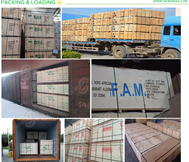 COMMERCIAL-PLYWOOD-PIC_10.jpg