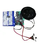 Custom Programmable USB MP3 Sound Module for Greeting Cards Low Cost Electronic Item