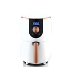 Commercial Oil Free Stainless Steel Deep Fryer Mini Digital deep fryer air