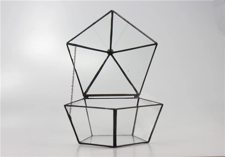 Five Face opening closed five angular geometry glass greenhouse flowers Garden Decor pots