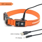 TIZE Wholesale Custom Logo Waterproof Christmas Light Dog Collar And Lead for Big Dog