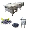/product-detail/china-automatic-blueberry-sorting-machine-cherry-blueberry-grader-sorter-machine-blueberry-fill-by-weight-packing-machine-1709157420.html