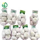 china fresh style fresh white garlic for sale