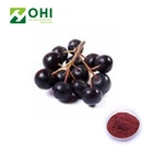 Brazil Acai berry P.E. Extract powder of organic acai berry juice