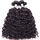 Water Wave Bundle with Remy Virgin Closure From Brazilian Top Quality Factory Price Human Hair Extension