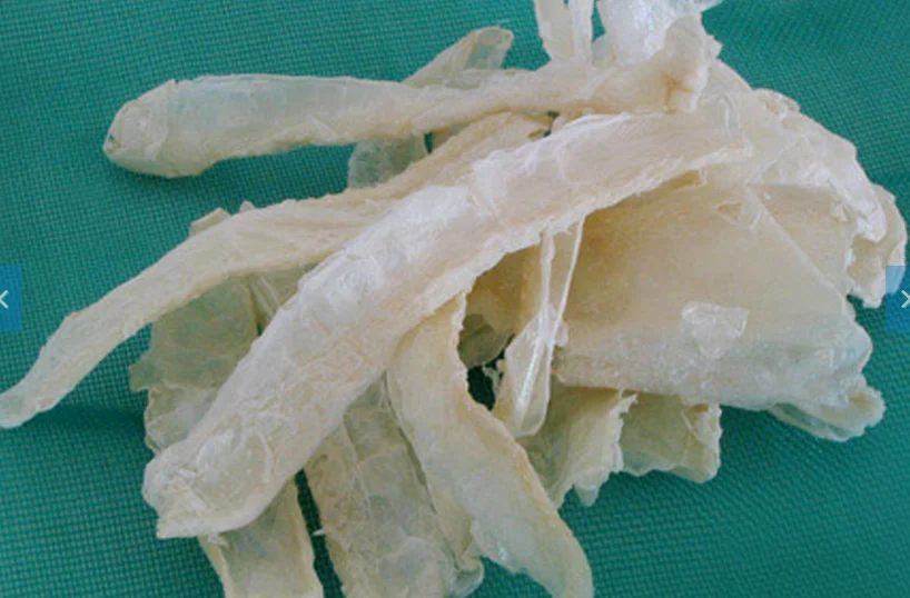 High Quality Chitin / Chitosan