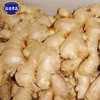 Competitive price China manufacturer dried shandong ginger for super market