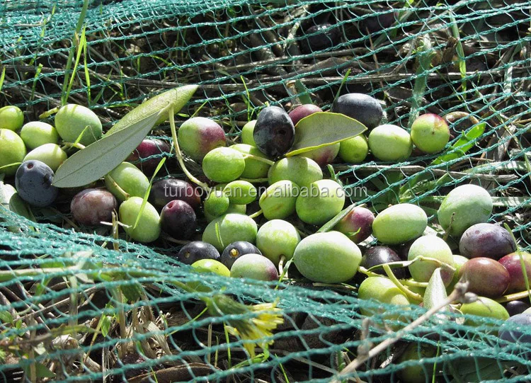 high quality anti fly fruit nuts collect gathering mesh netting polyethylene olive tree harvest nets .jpg