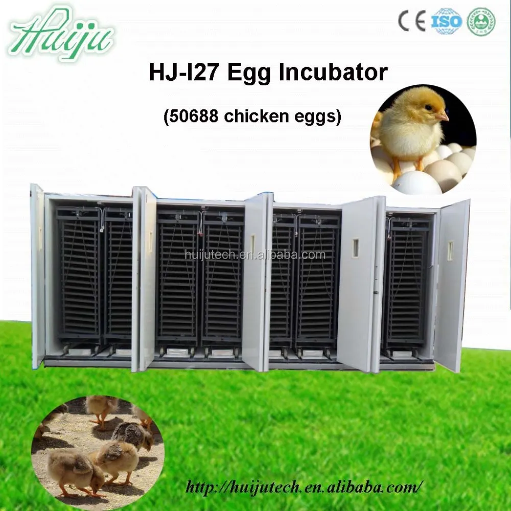  Egg Incubator - Buy Egg Incubator,Egg Incubator Thermostat,Chicken Egg