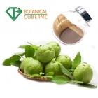 Pure Natural Guava Leaf Extract Guava Extract Powder