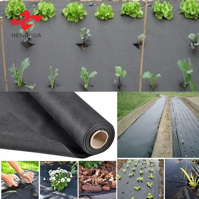 crop cover (22)