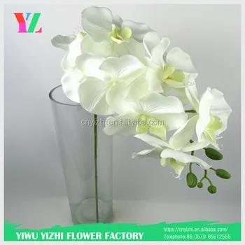 gifts & crafts  festive & party supplies  decorative flowers &